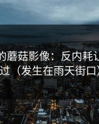 上个月的蘑菇影像：反内耗让我别跳过（发生在雨天街口）