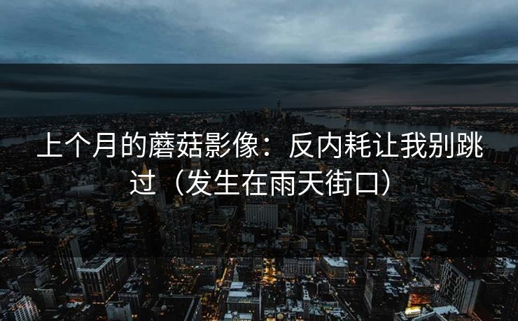 上个月的蘑菇影像：反内耗让我别跳过（发生在雨天街口）